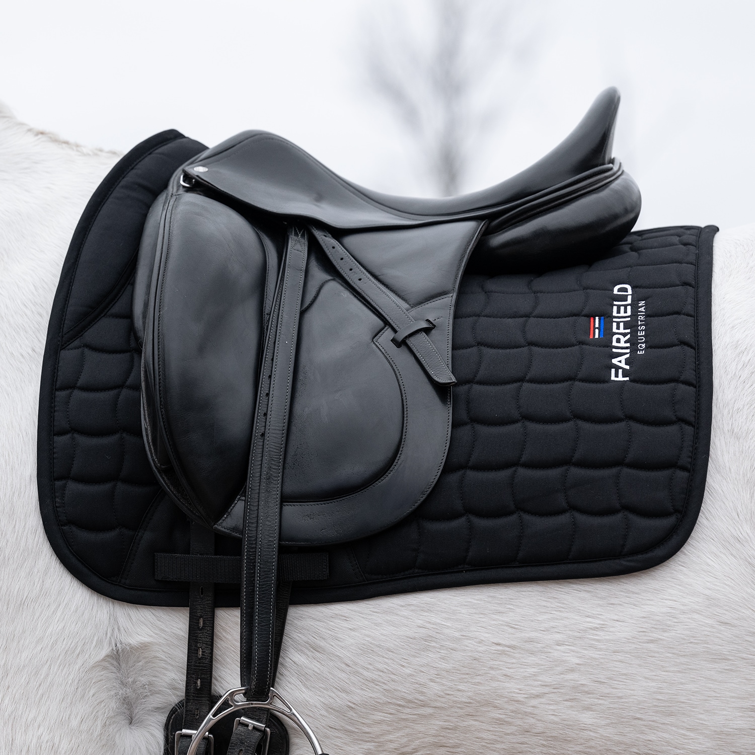 Dressyrschabrak  Hickstead Fairfield®