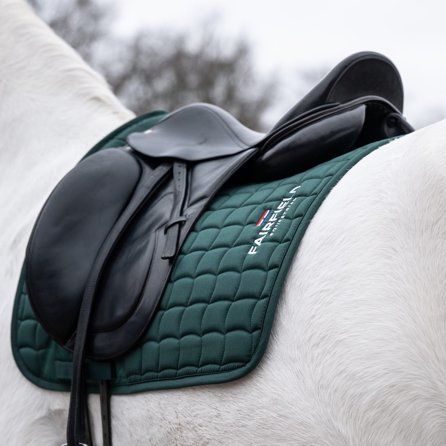 Dressyrschabrak  Hickstead Fairfield®