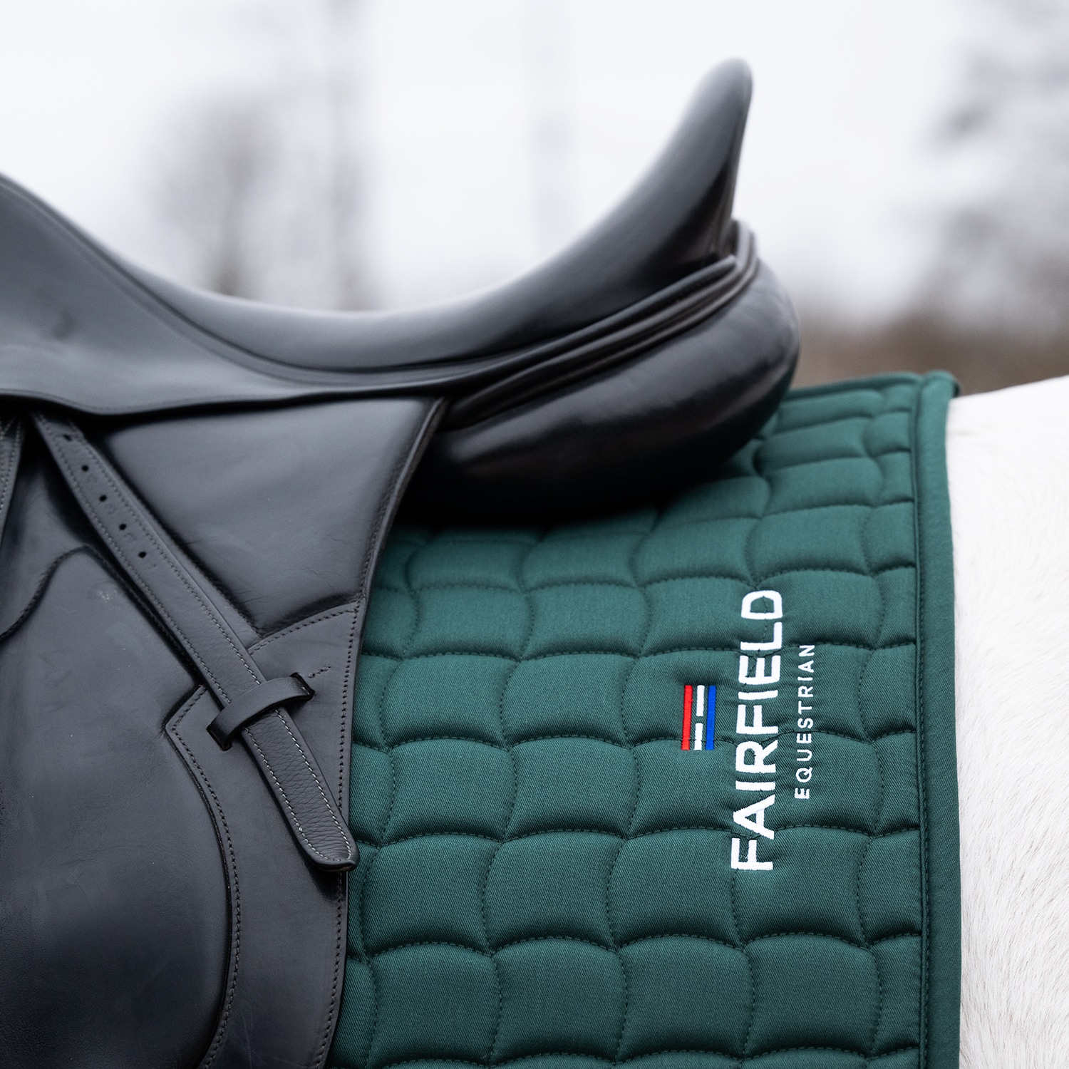 Dressyrschabrak  Hickstead Fairfield®