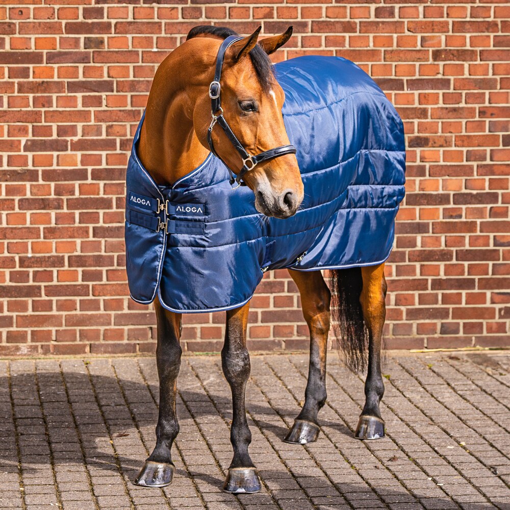 Stalltäcke  Stable Blanket 150g Aloga Equestrian