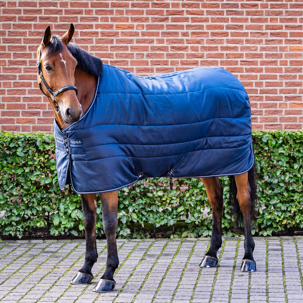 Stalltäcke  Stable Blanket 150g Aloga Equestrian