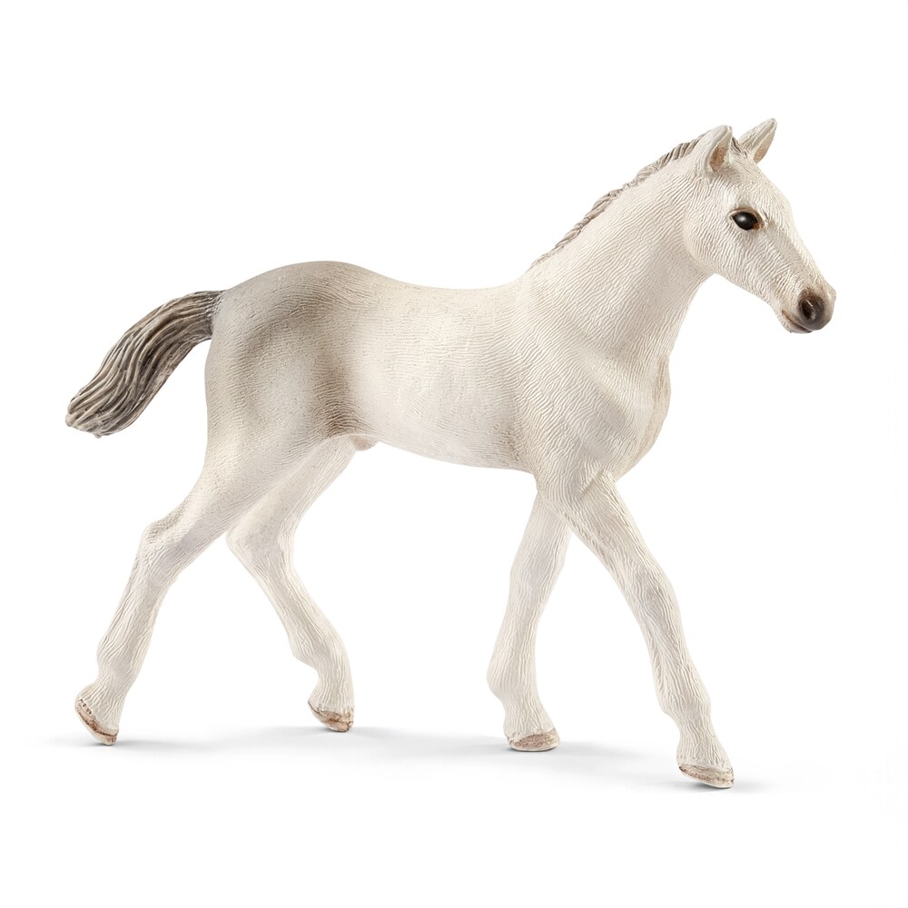 Leksak  Holsteiner foal Schleich