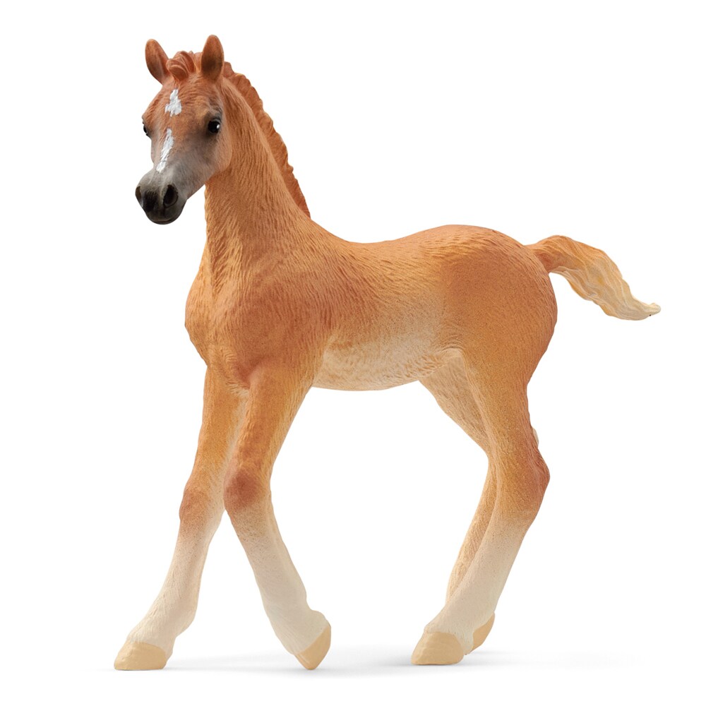 Leksak  Arab foal Schleich