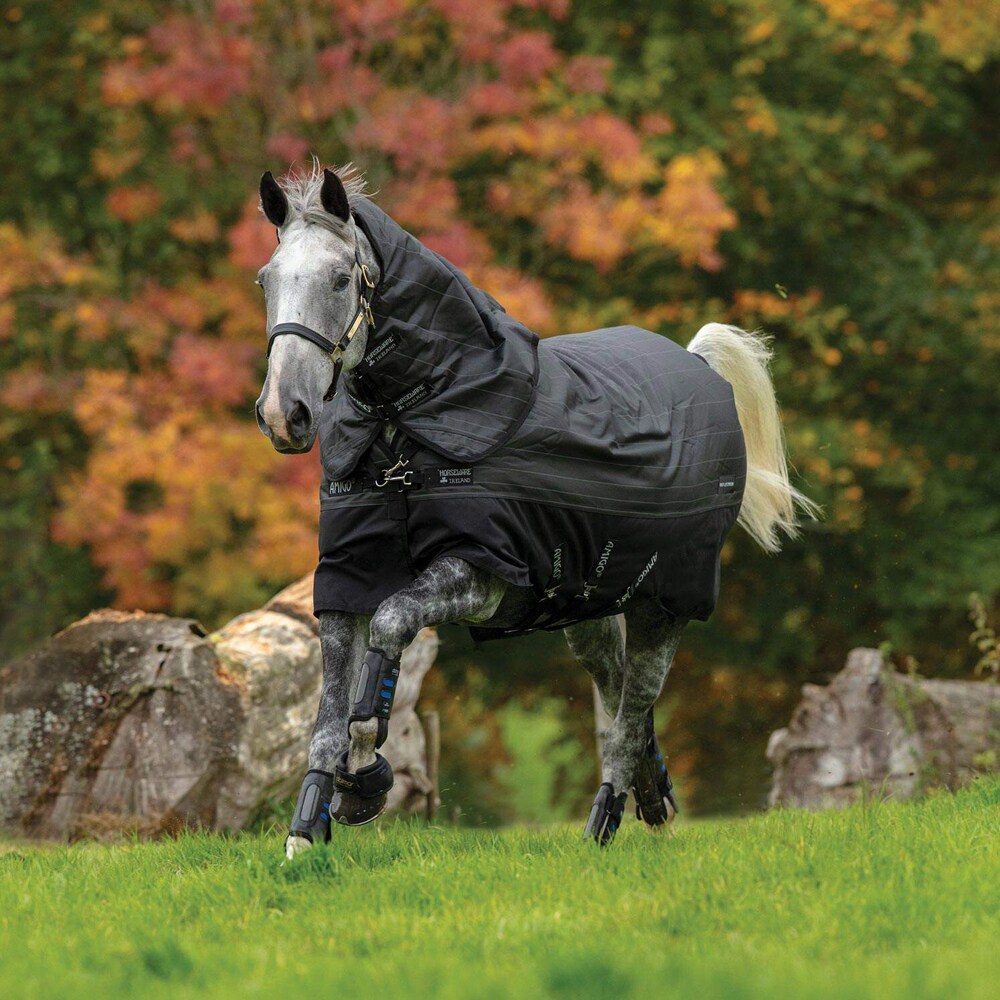 Vintertäcke 250 g Amigo Bravo 12 Reflectech Plus Turnout Horseware®