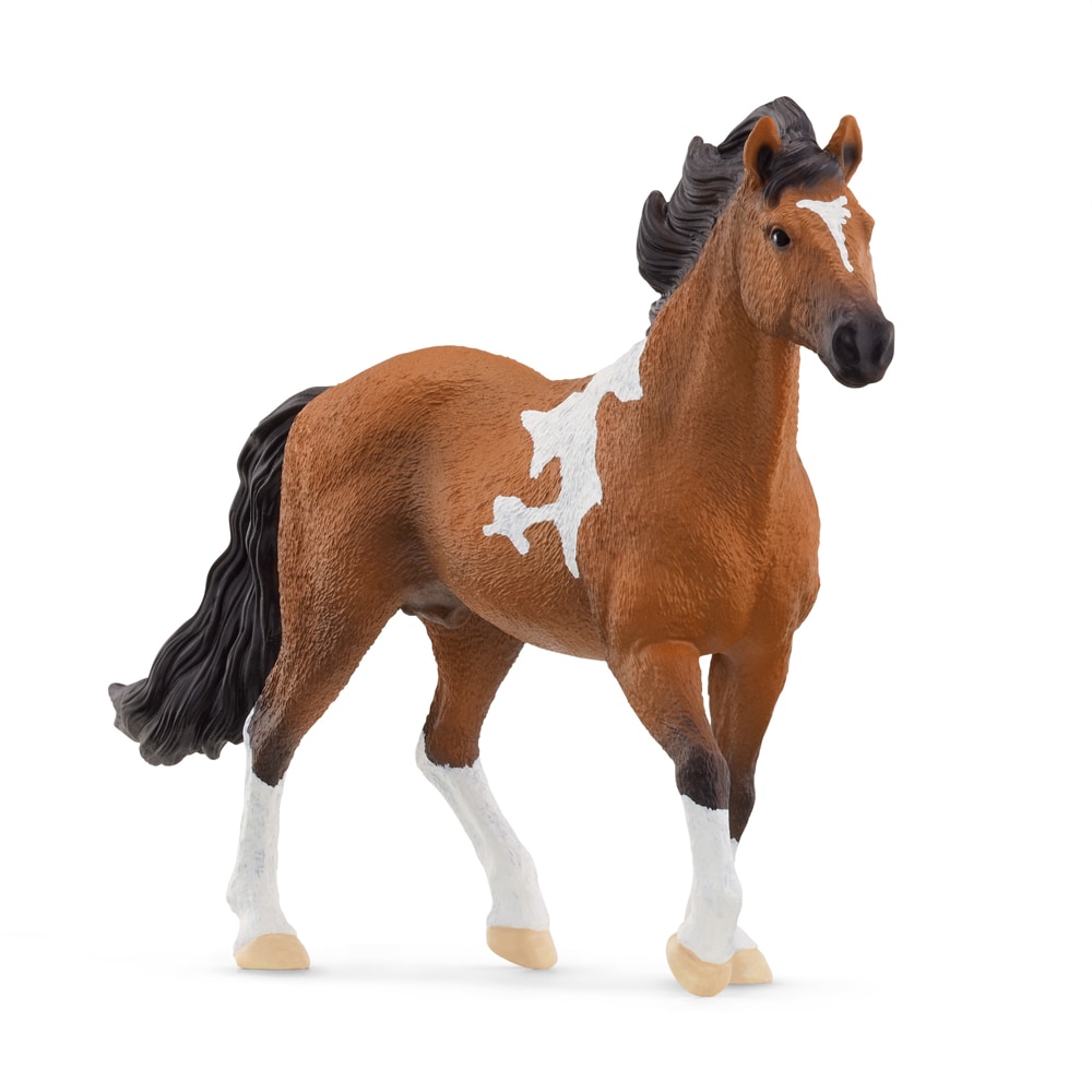 Leksak  Mangalarga Marchador Stallion Schleich